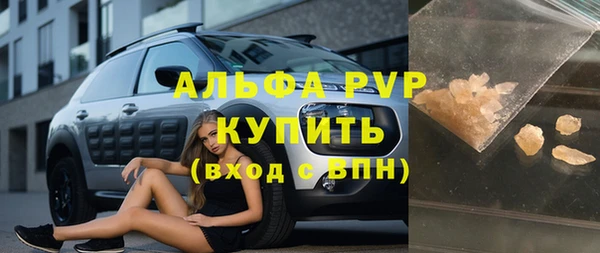хмурый Абаза