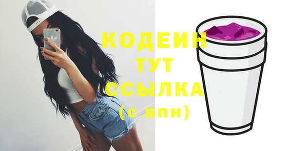 хмурый Абаза