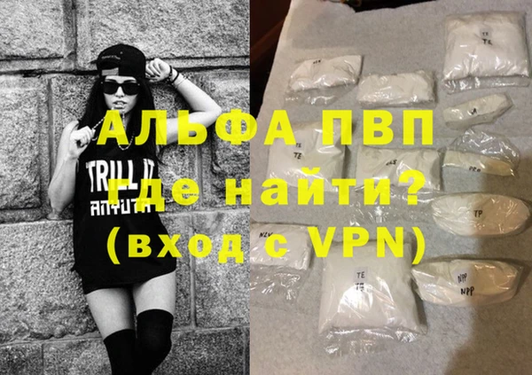 хмурый Абаза