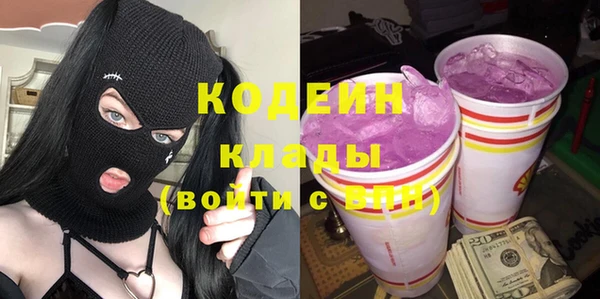 хмурый Абаза