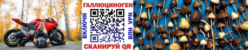 дарнет шоп  Тюкалинск  Псилоцибиновые грибы MAGIC MUSHROOMS 